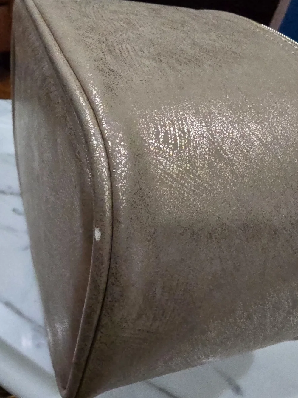 Old Navy Shimmering Gold Cosmetic Train Case